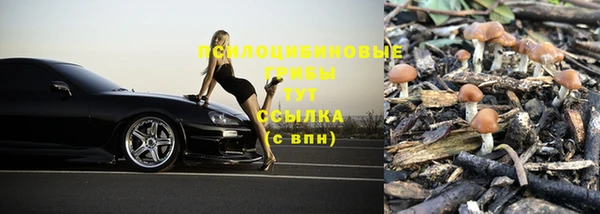 каннабис Баксан