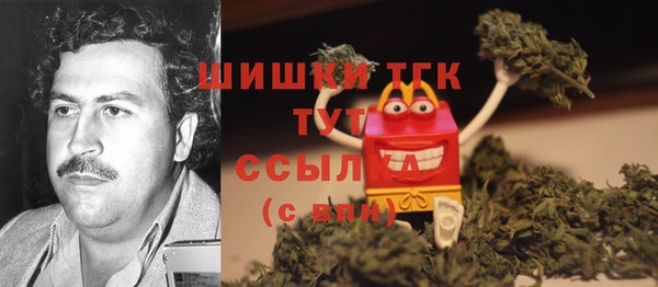 трава Арсеньев