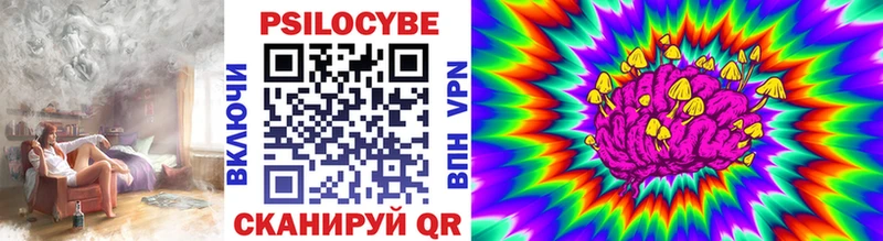 Псилоцибиновые грибы Psilocybe  наркошоп  Валдай 